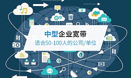 50-100人企業(yè)寬帶 50-100人企業(yè)寬帶